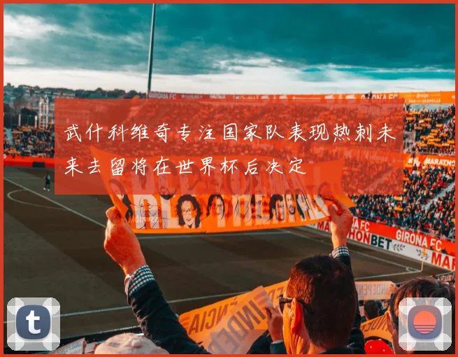 武什科维奇专注国家队表现热刺未来去留将在世界杯后决定