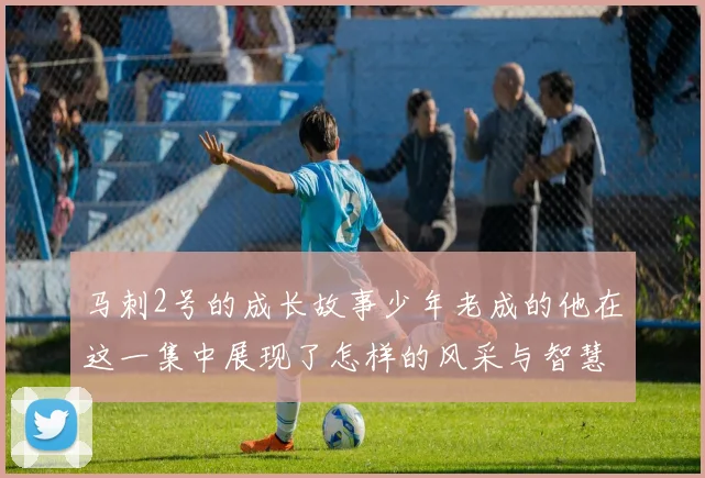 马刺2号的成长故事少年老成的他在这一集中展现了怎样的风采与智慧
