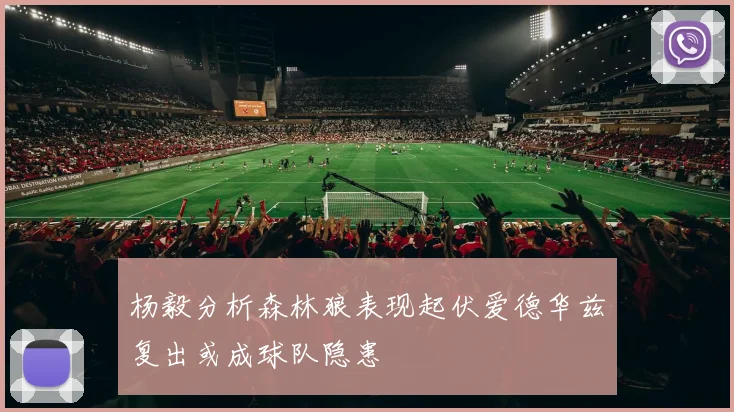 杨毅分析森林狼表现起伏爱德华兹复出或成球队隐患
